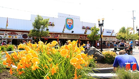 palaceplayland-sign